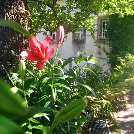 Bed & Breakfast Maison De Charme Avec Parc, Tennis Et Recharge Electrique - Pres D'epinal - Fr-1-589-503 3*