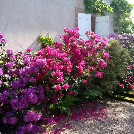 Bed & Breakfast Maison De Charme Avec Parc, Tennis Et Recharge Electrique - Pres D'epinal - Fr-1-589-503 Aydoilles
