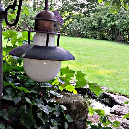 Bed & Breakfast Maison De Charme Avec Parc, Tennis Et Recharge Electrique - Pres D'epinal - Fr-1-589-503 3*